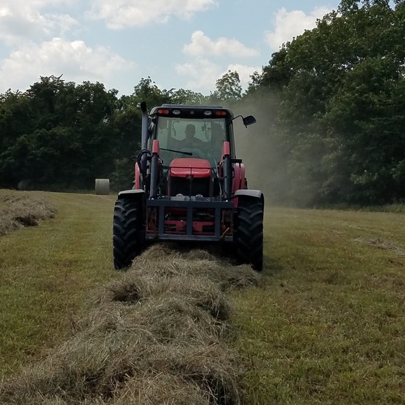 Meet your Posher, Austin - Picture 1 of 1